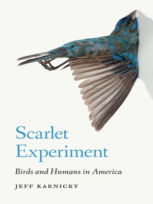 cover image of Scarlet Experiment